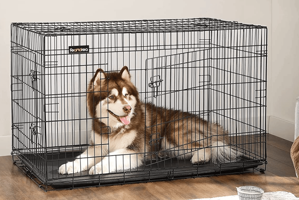 comparatif meilleure cage pour chien