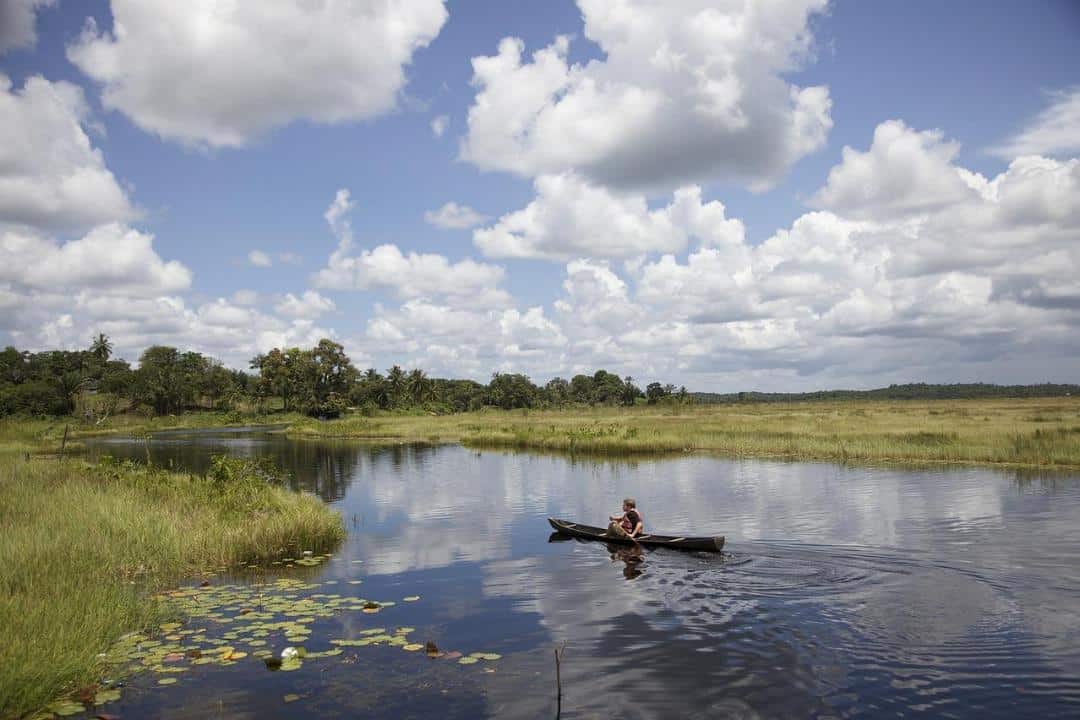 Comment réussir son voyage à Cayenne